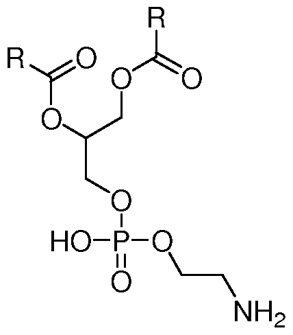 Figure imgf000017_0001