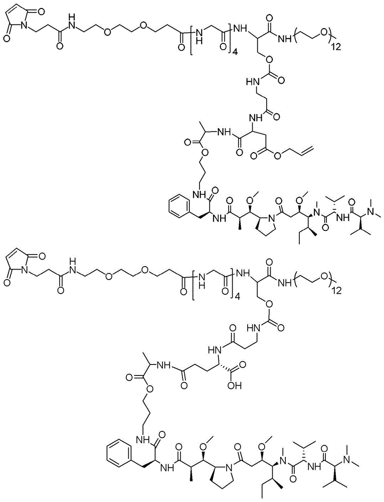 Figure BDA0003135424430001751