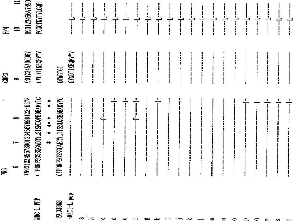 Figure 112005078207519-pat00003