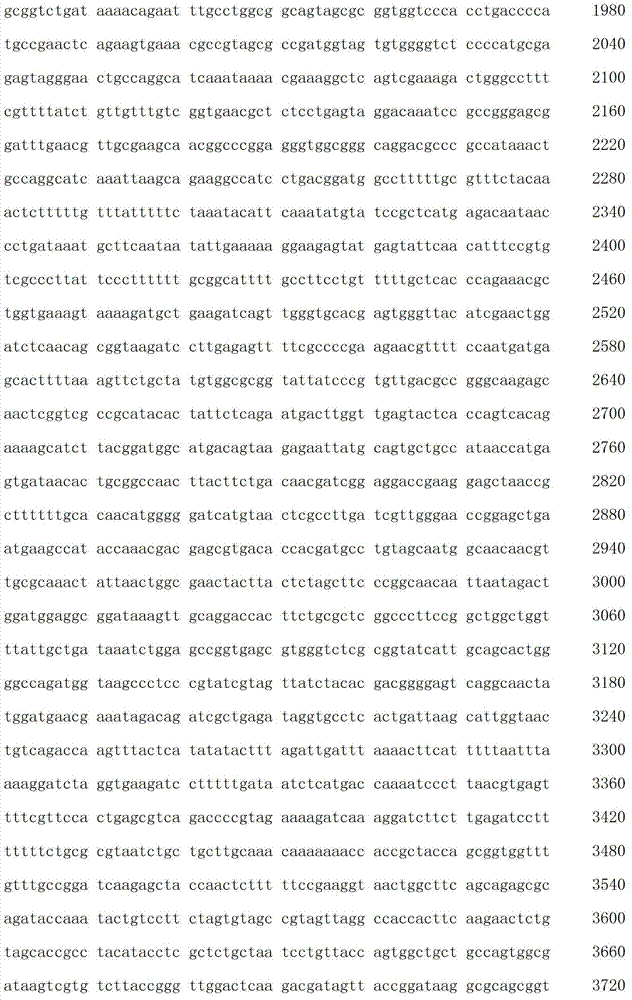 Figure IDA00003076741800281