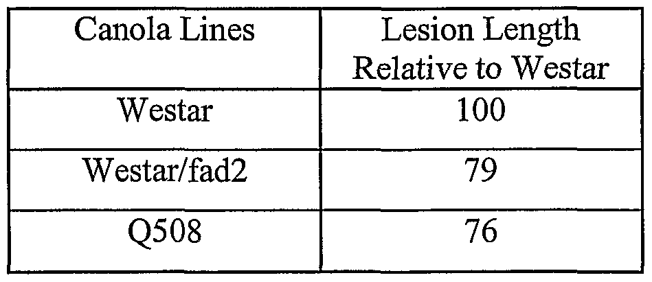 Figure imgf000027_0002