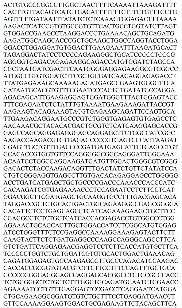 Figure BDA0003569753630000441