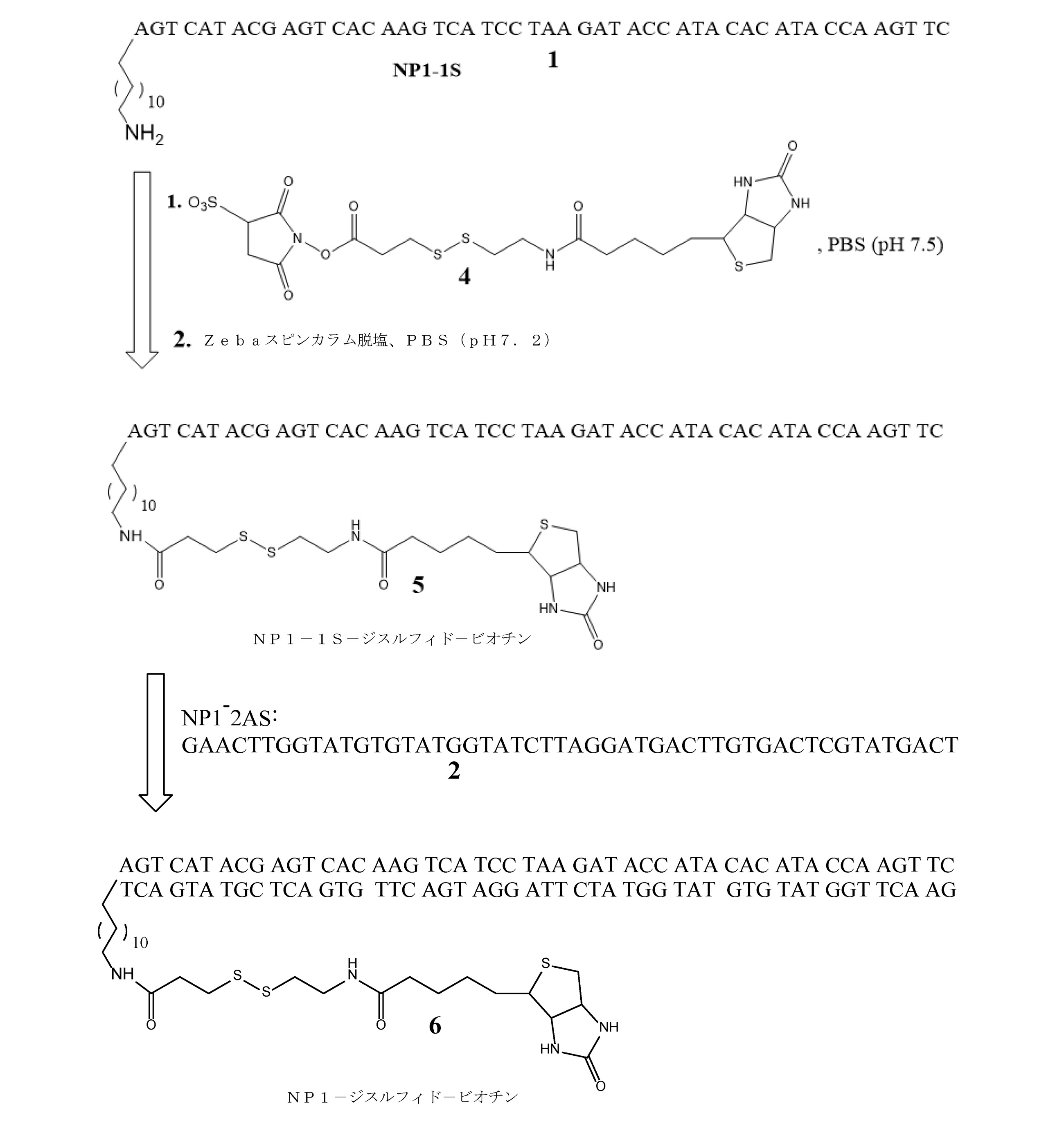 Figure 2022058772000019