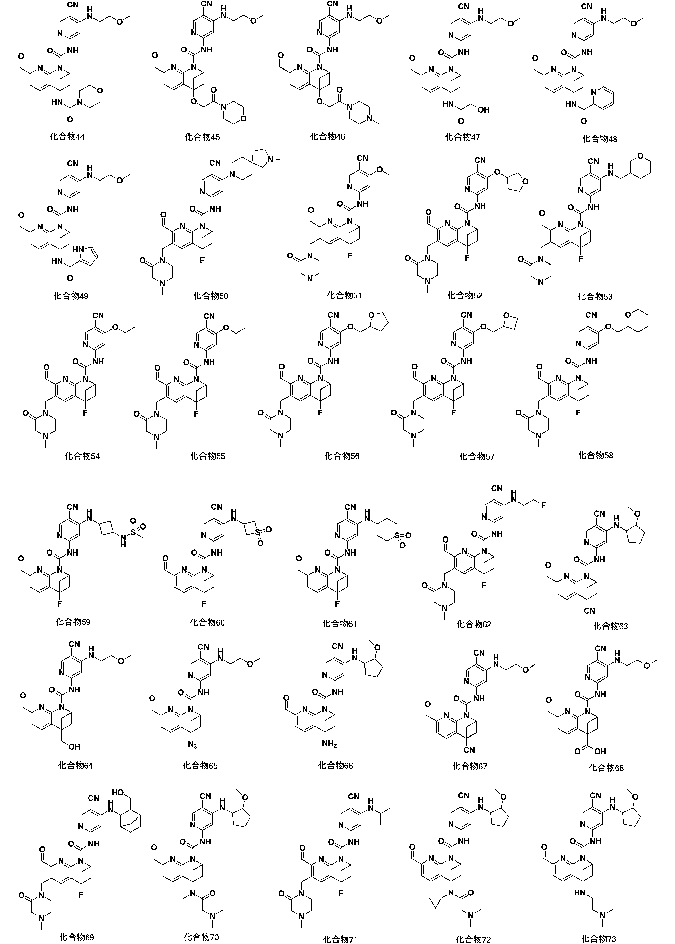 Figure 2023501288000016