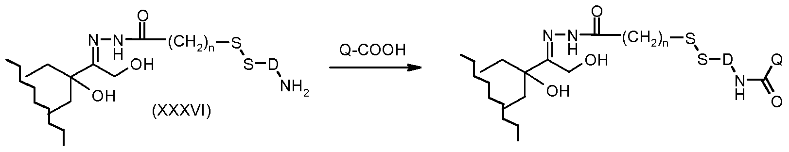 Figure imgf000081_0002