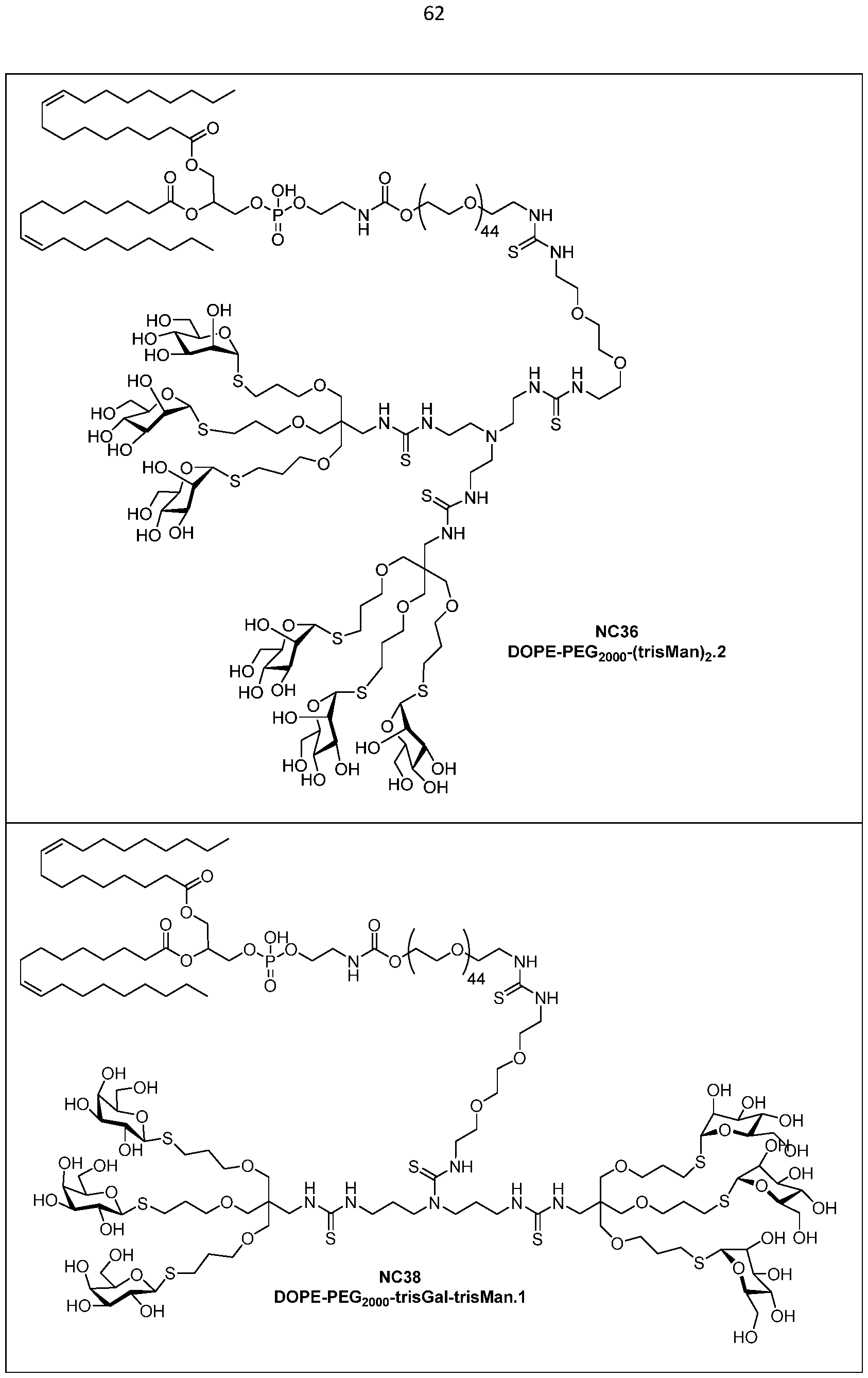 Figure imgf000063_0001