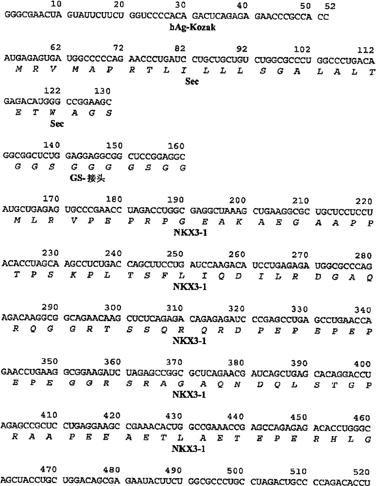 Figure BPA0000310332810000721