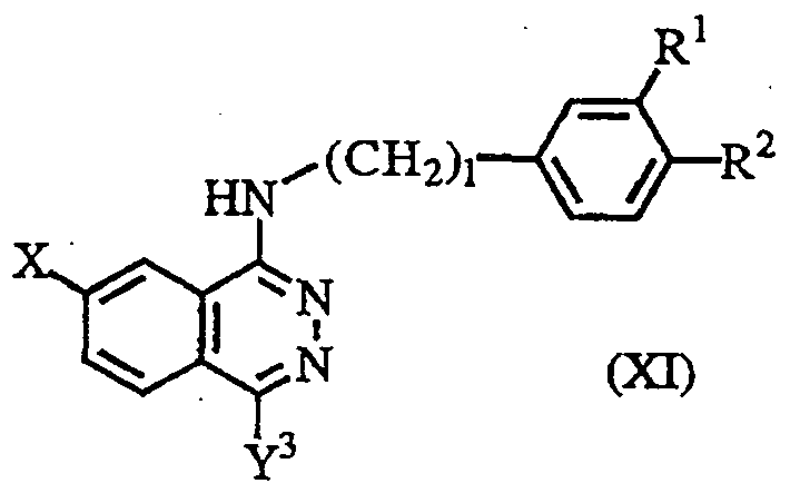 Figure imgf000009_0002