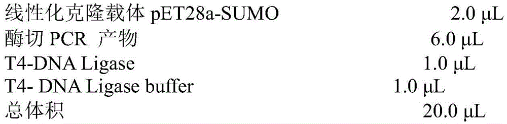 Figure BDA0003637730690000093