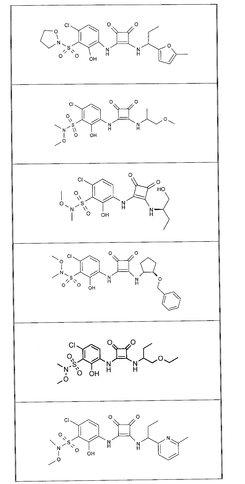 Figure BDA0000053622190000101