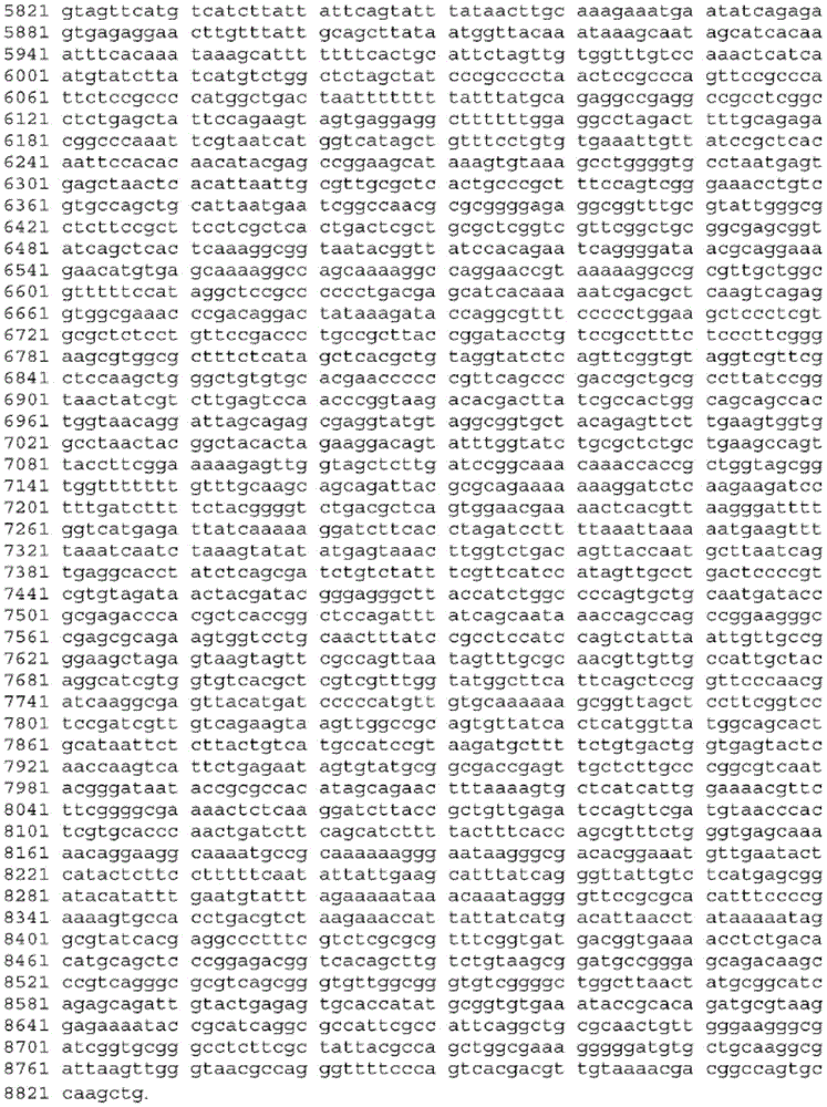 Figure BDA0003465582640001291