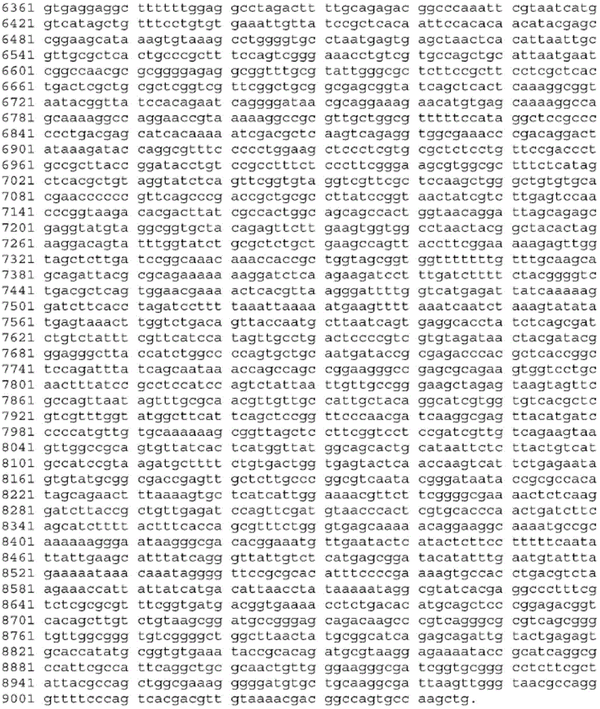 Figure BDA0003465582640001141