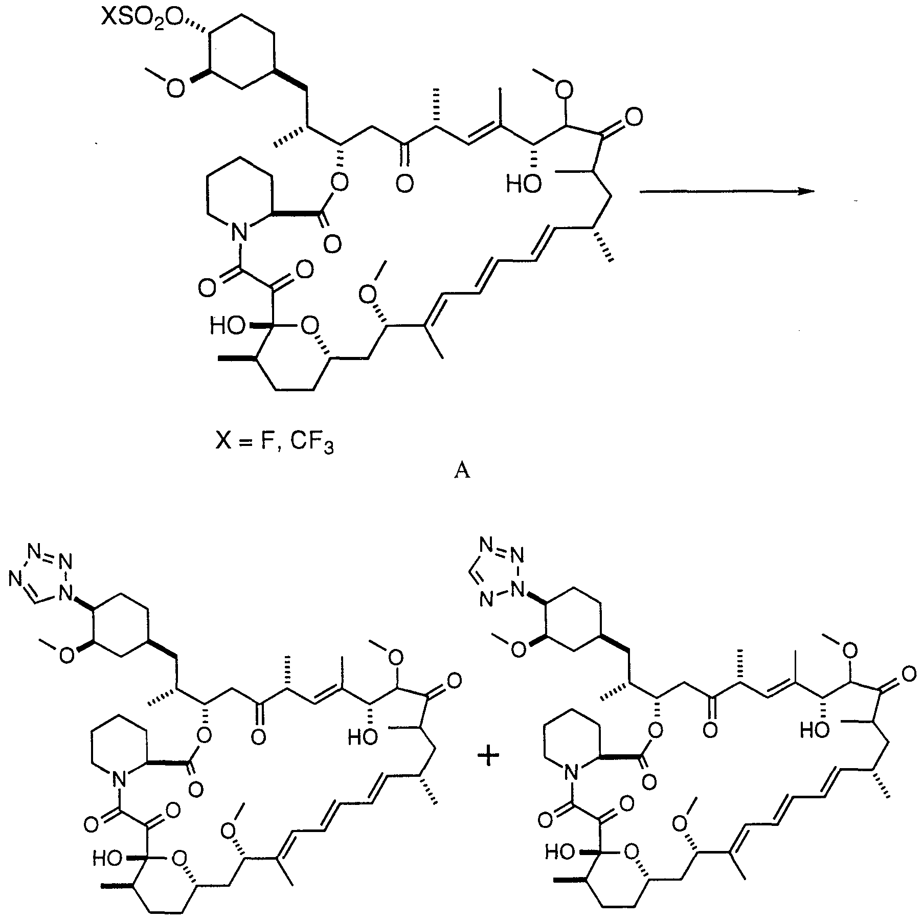 Figure imgf000009_0001