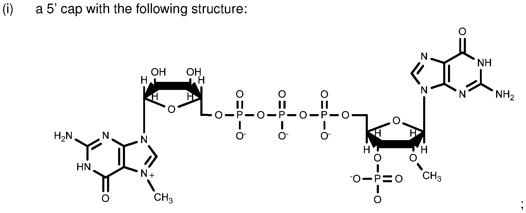 Figure imgf000058_0001