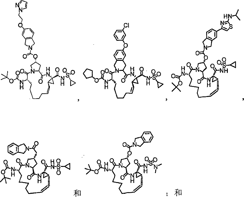 Figure S2006800379454D00051