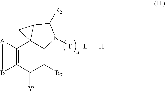 Figure US06909006-20050621-C00010