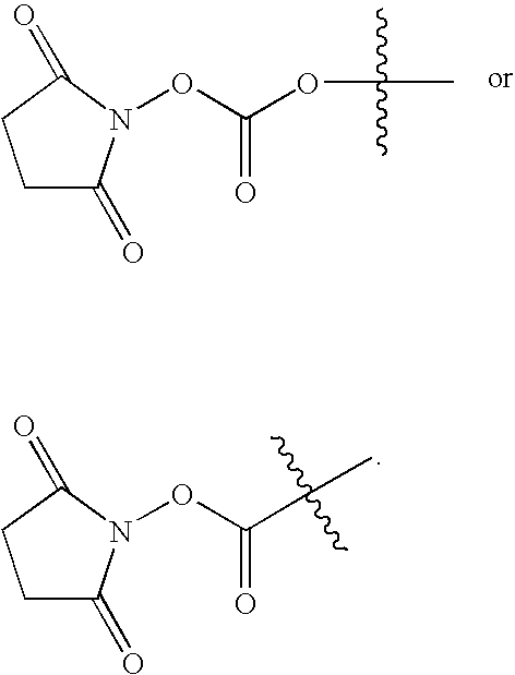 Figure US20090221485A1-20090903-C00025