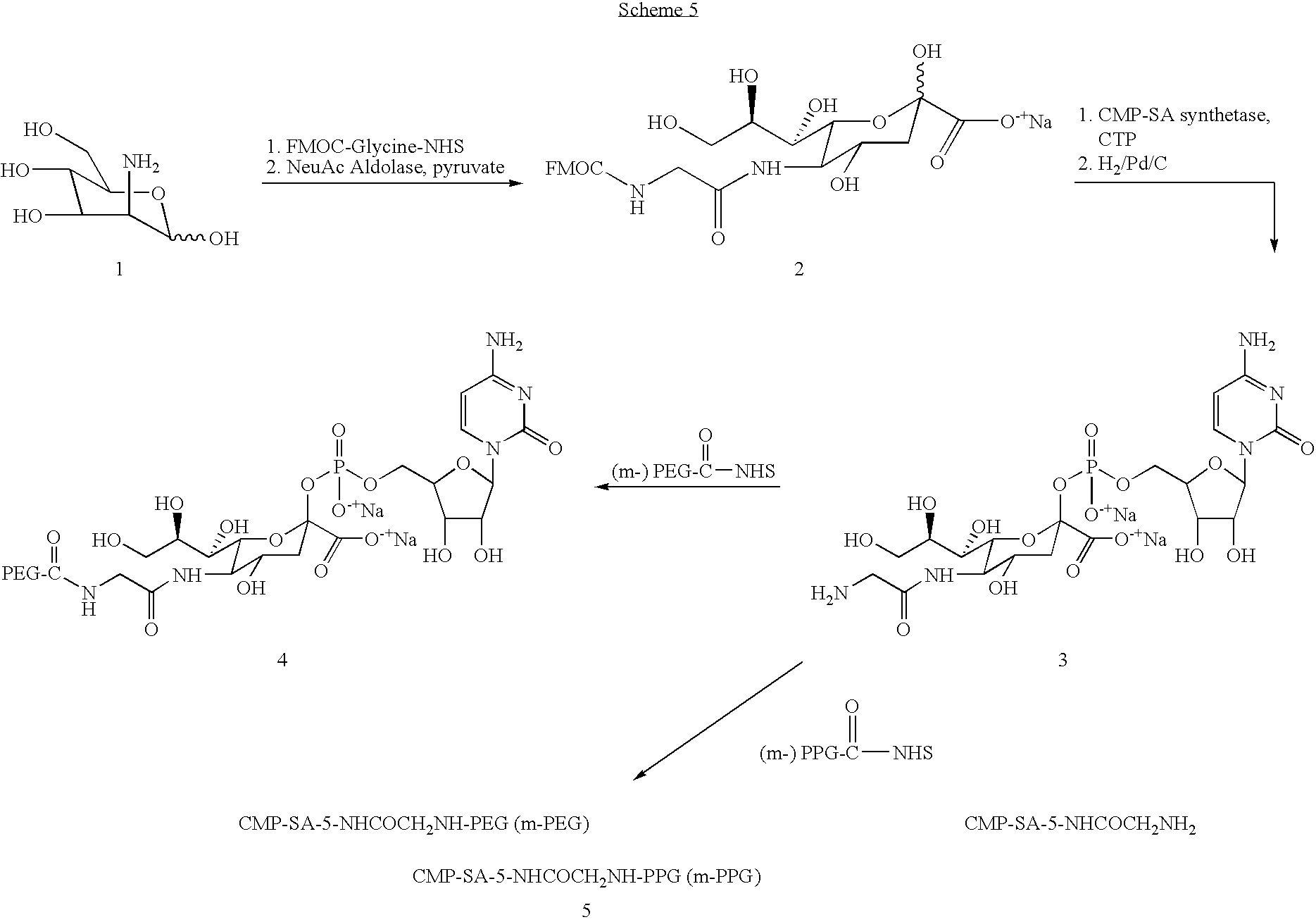 Figure US20080242607A1-20081002-C00042
