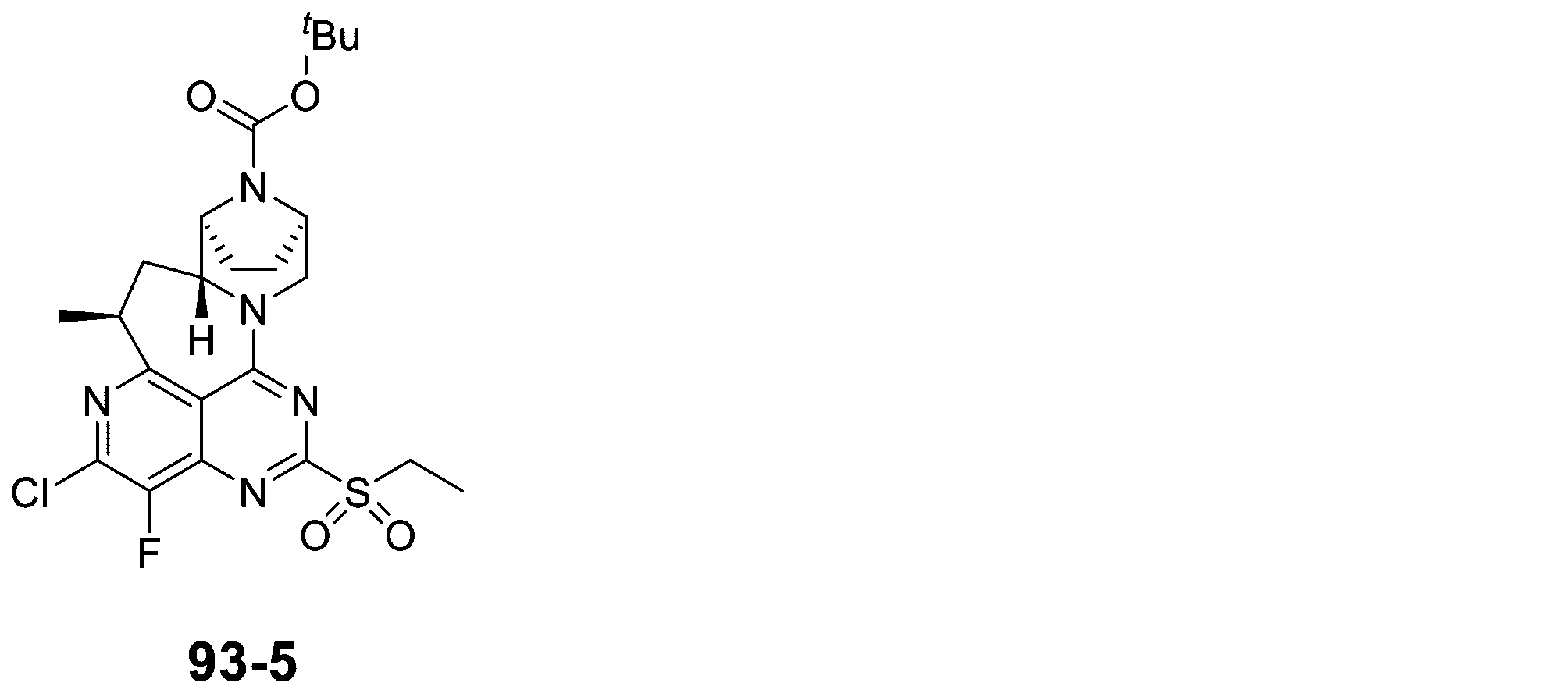 Figure 2025513258000373