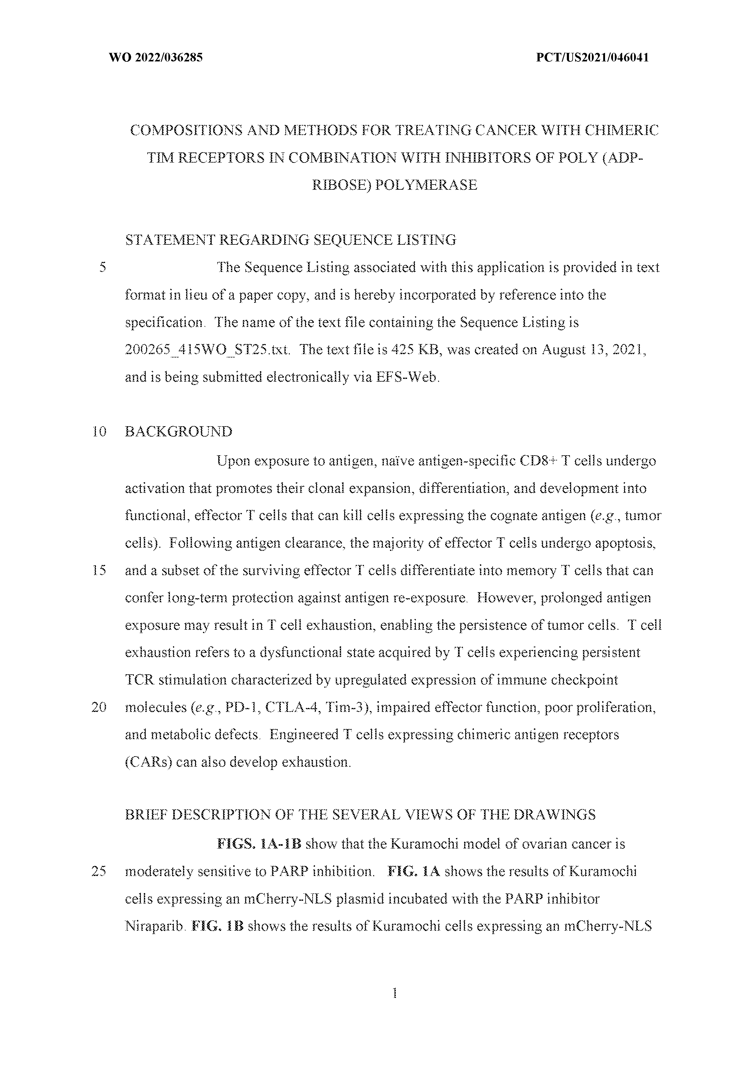 Figure imgf000003_0001