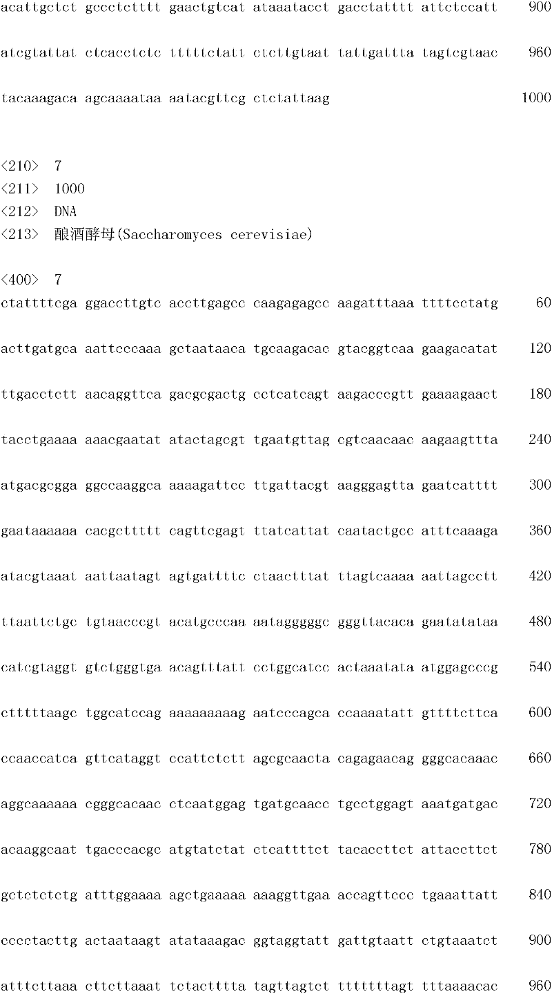 Figure IDA0000133447040000091