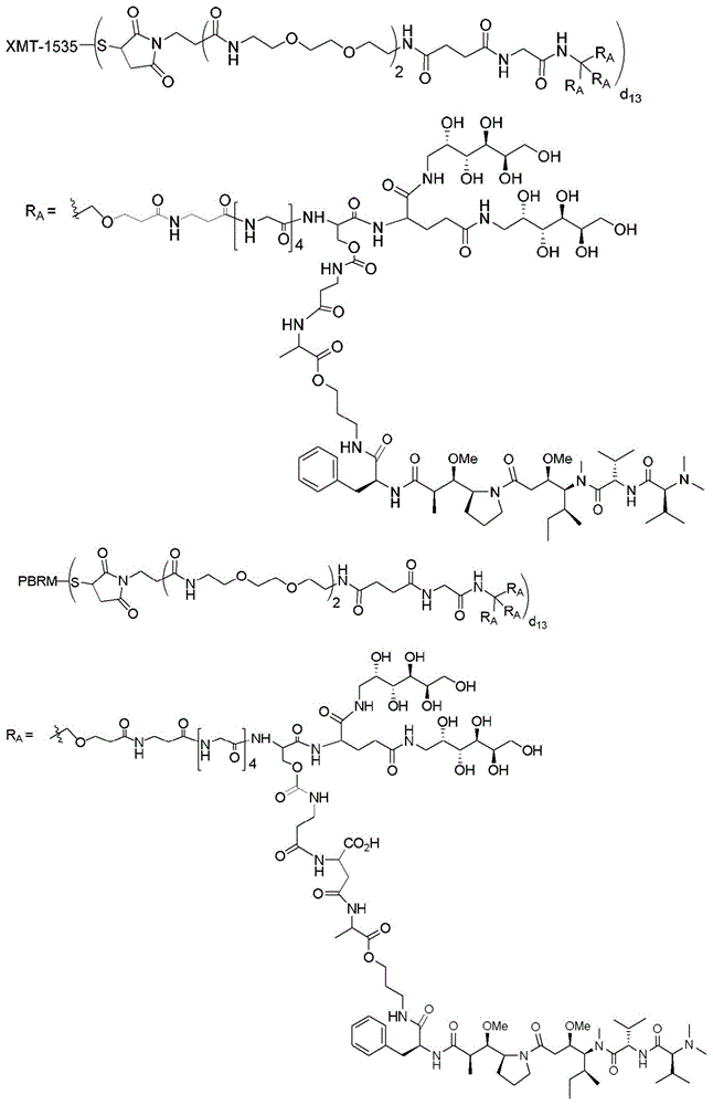 Figure BDA0003135424430001921