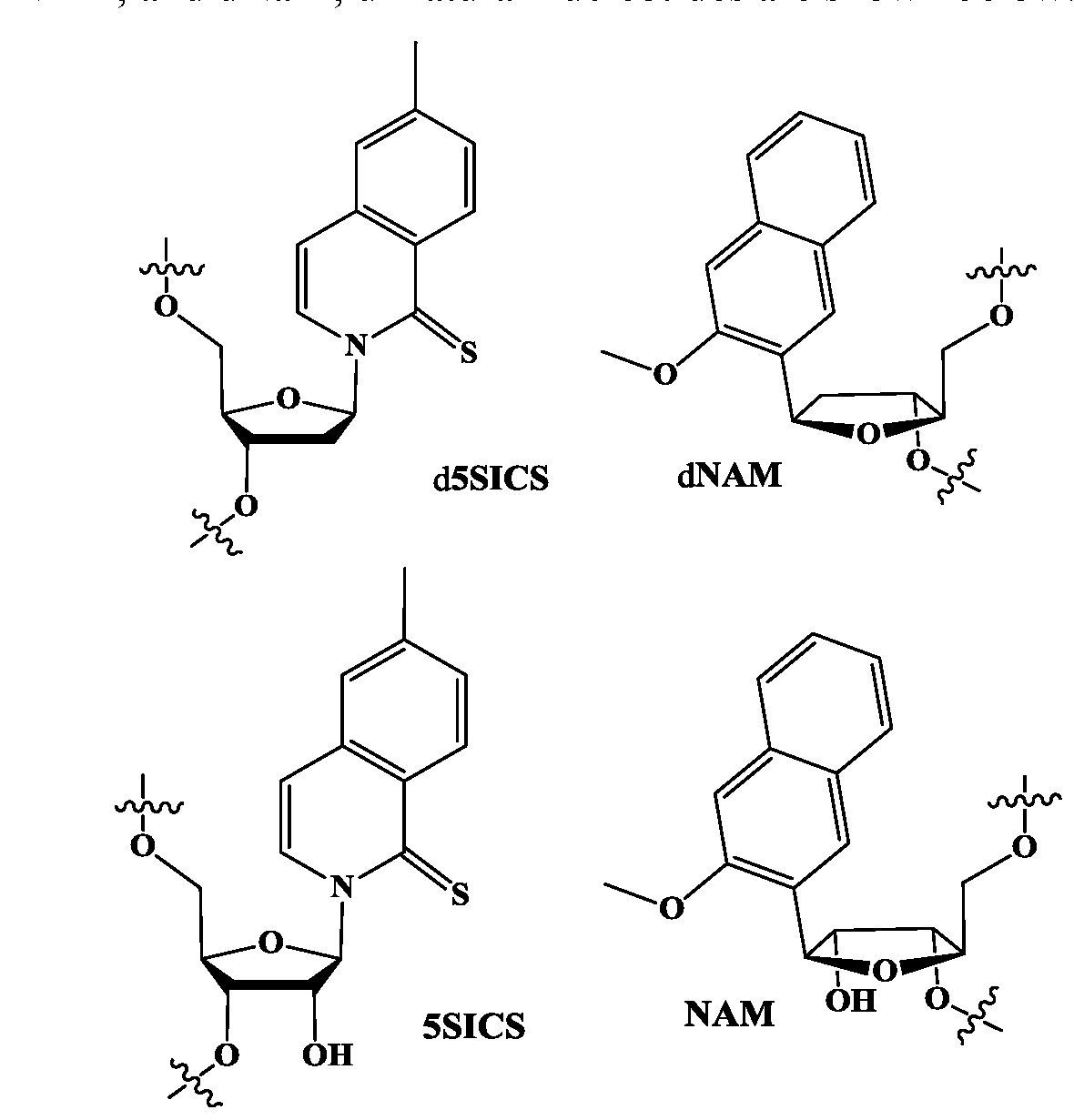 Figure imgf000024_0001