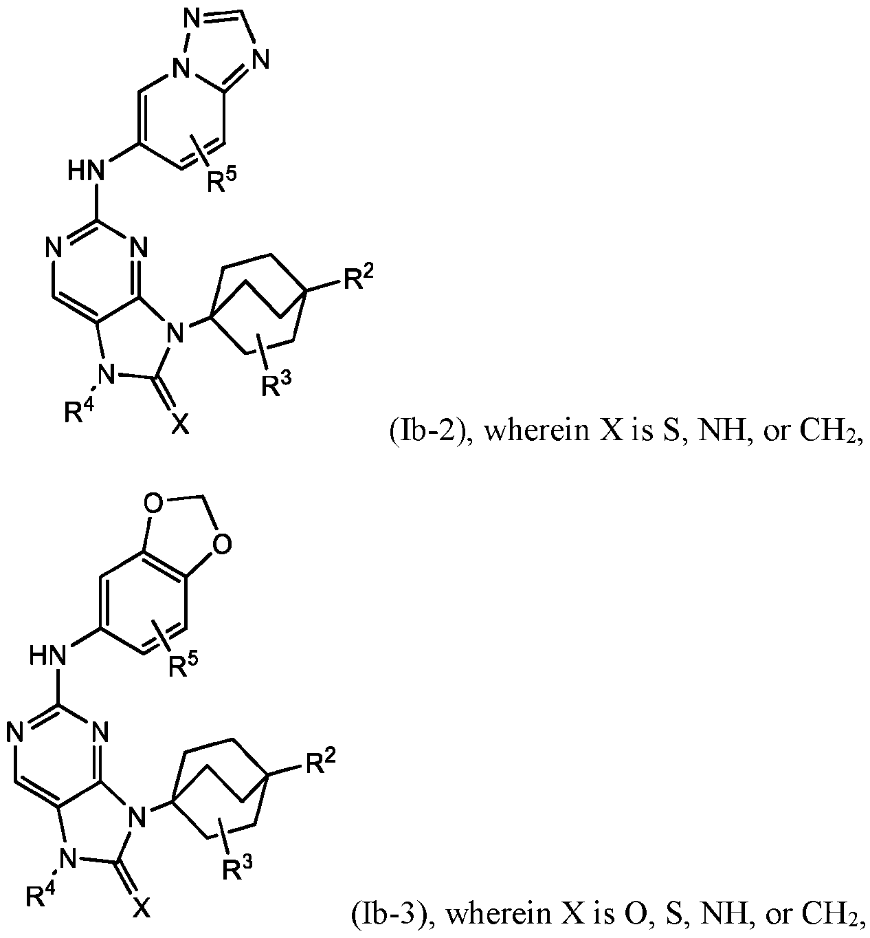 Figure imgf000225_0002
