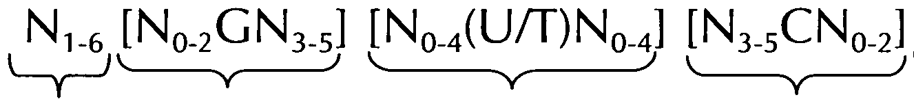 Figure imgf000014_0001