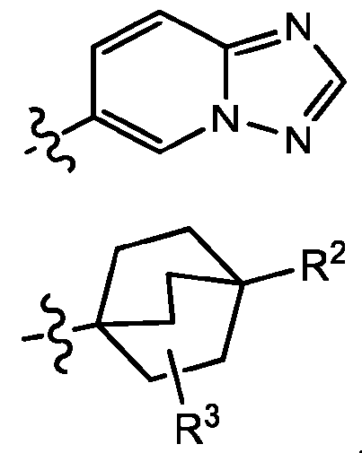 Figure imgf000007_0002