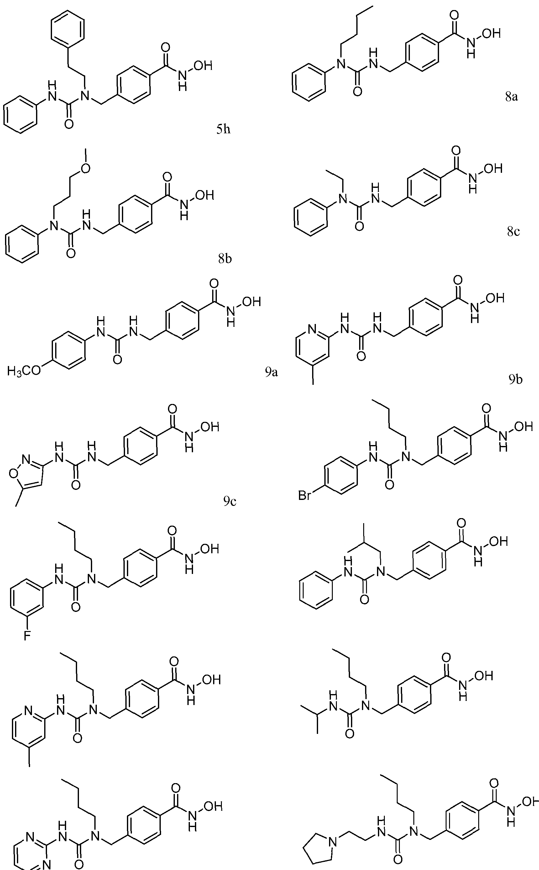 Figure imgf000019_0001