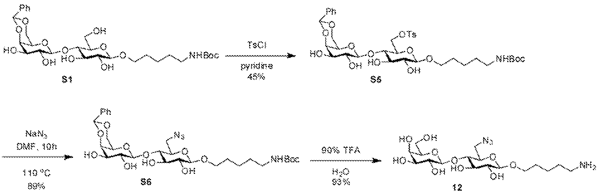 Figure imgf000036_0002
