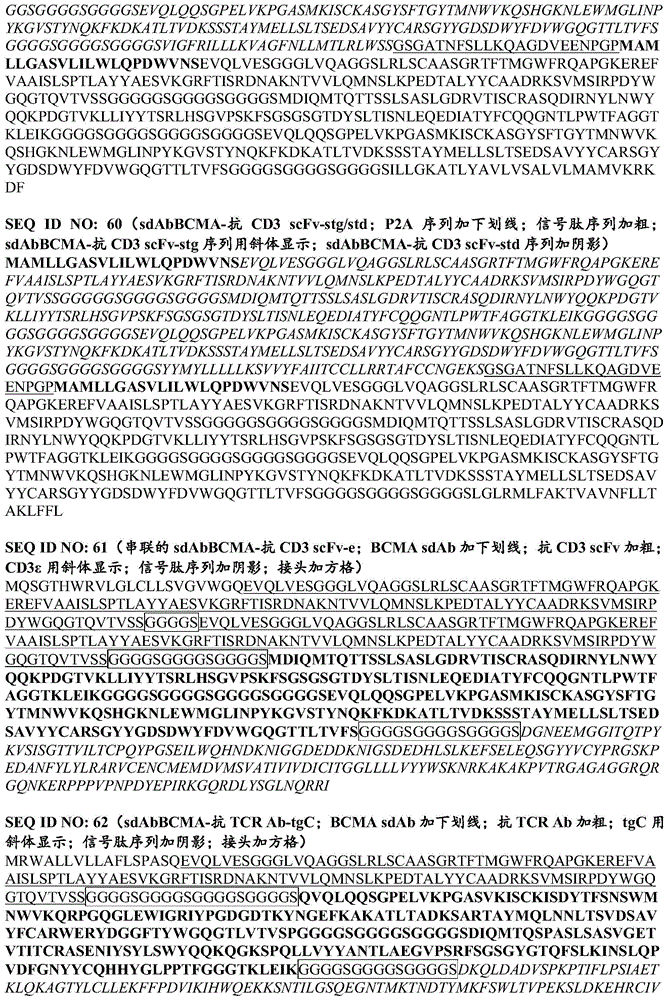 Figure BDA0003115131290001811