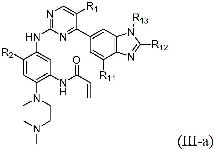 Figure FDA0002203848410000031