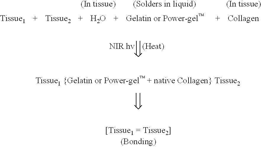 Figure US07033348-20060425-C00001
