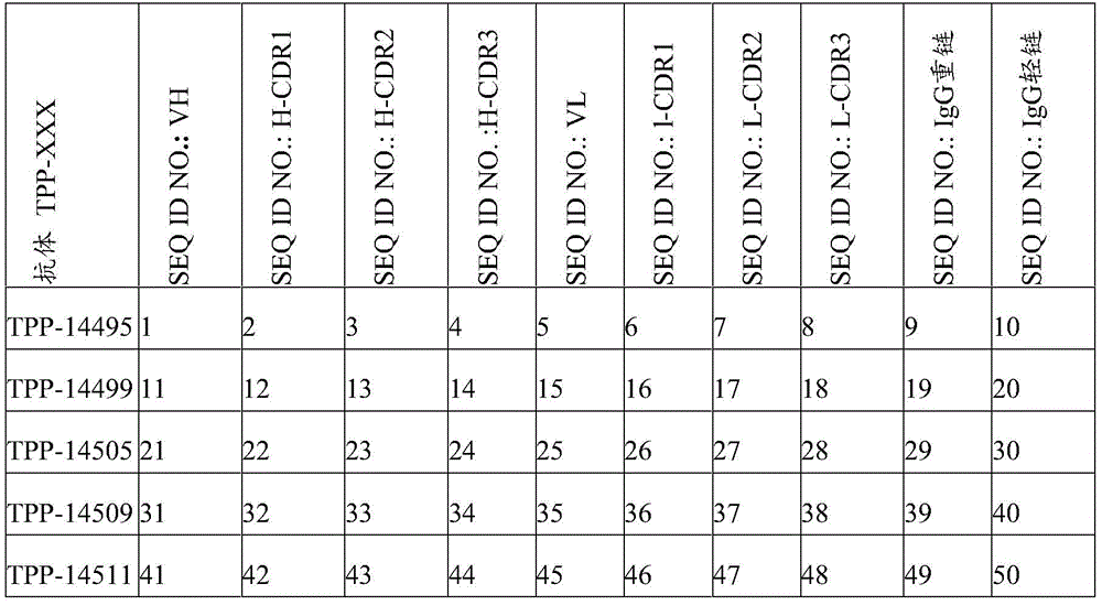 Figure BDA0002942758920000261