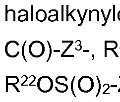 Figure imgf000003_0004