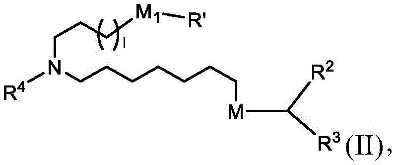 Figure BDA0003652566710000102