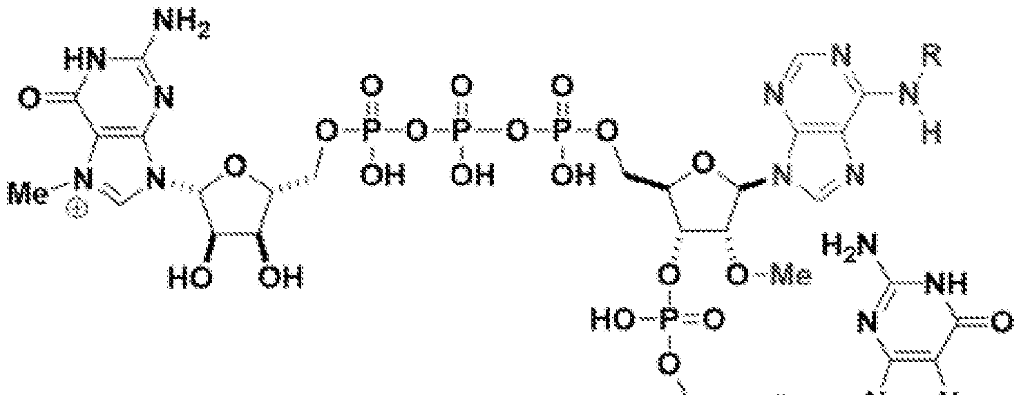 Figure imgf000089_0002