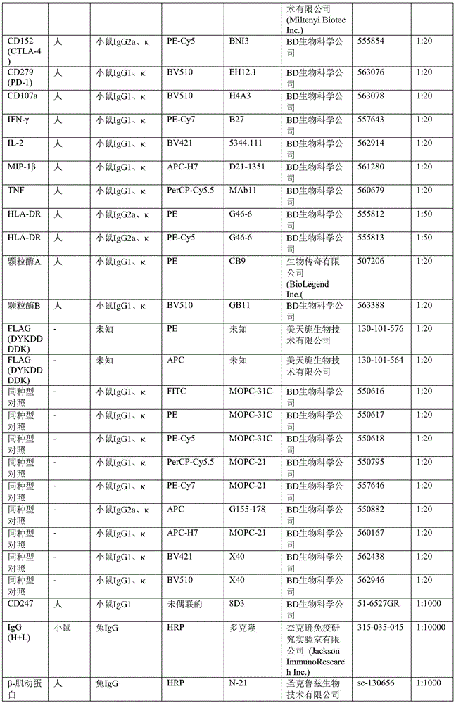 Figure BDA0002239512530000541