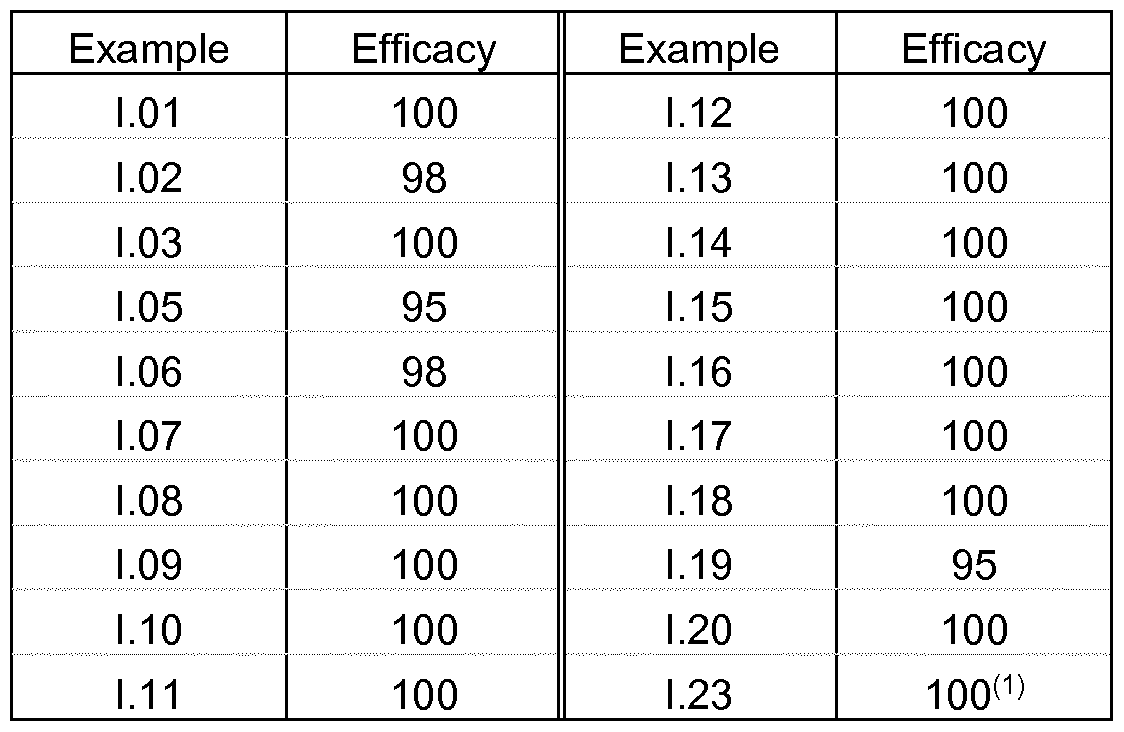 Figure imgf000058_0001