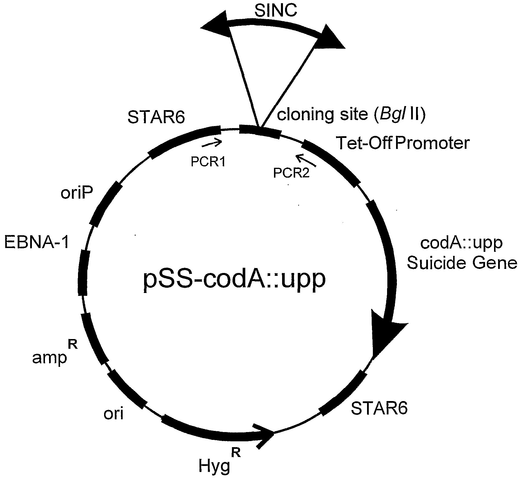 Figure imgf000173_0001
