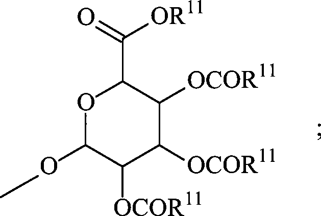 Figure A200780033062C00223