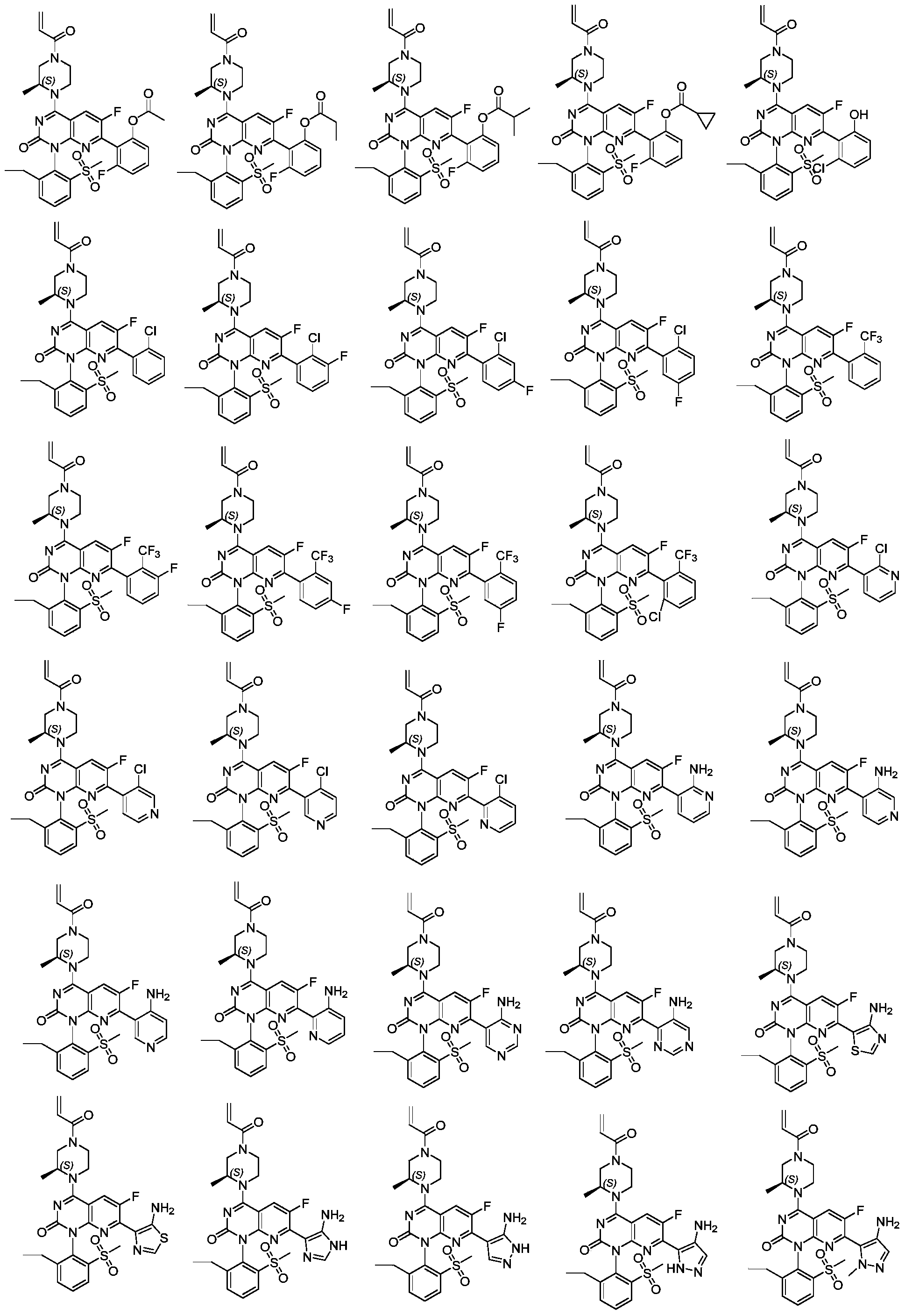 Figure PCTCN2021099875-appb-000080