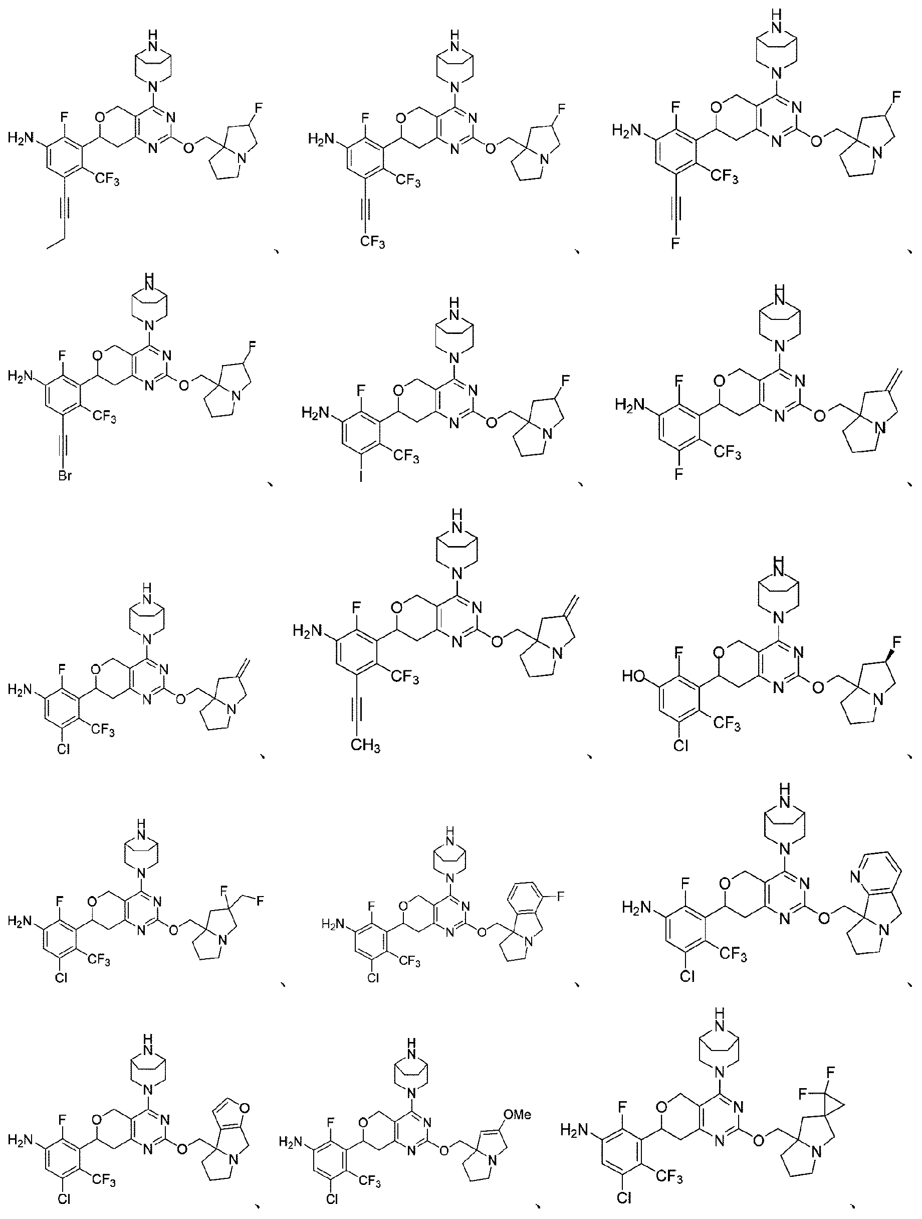 Figure 2025504491000134