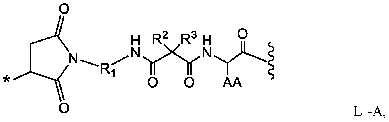 Figure imgf000155_0002