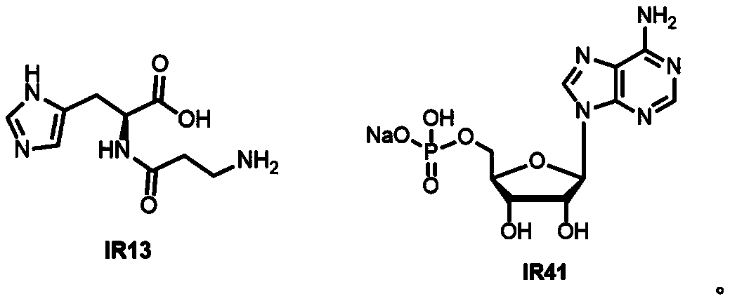 Figure PCTCN2022118107-appb-100007