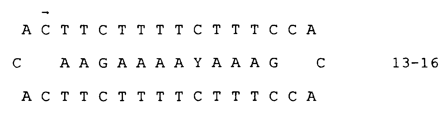 Figure imgf000086_0001