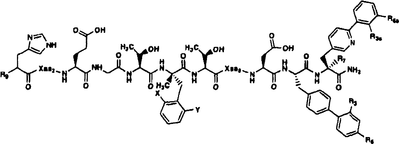 Figure B2005800295435D00091