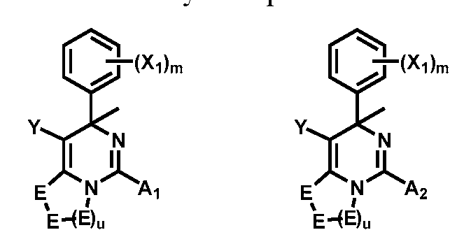 Figure imgf000020_0003